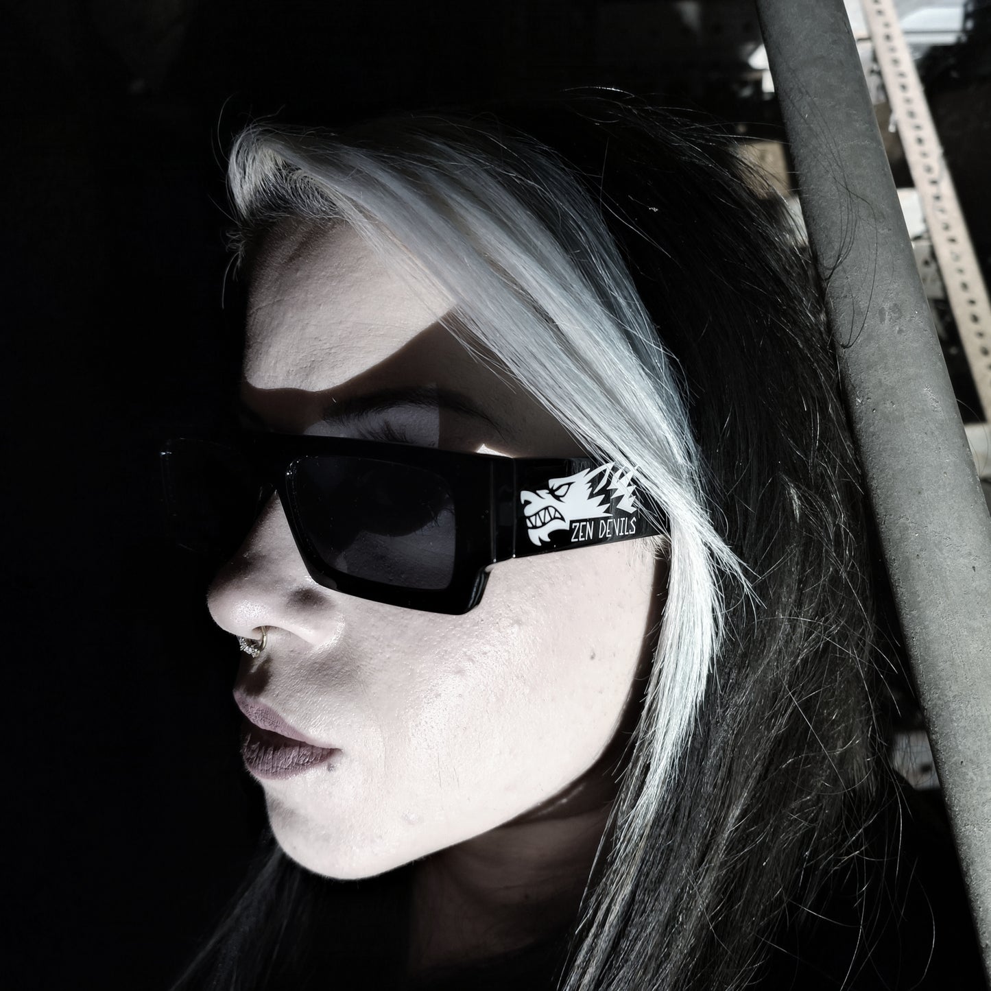 The Nocturnator Sunglasses