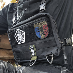 The Subdued France Lion Shield Velcro Patch